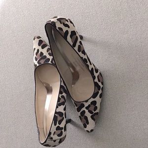 New Dolly Leopard Pony